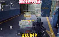 M416+补偿器+垂直握把+6倍镜看直播