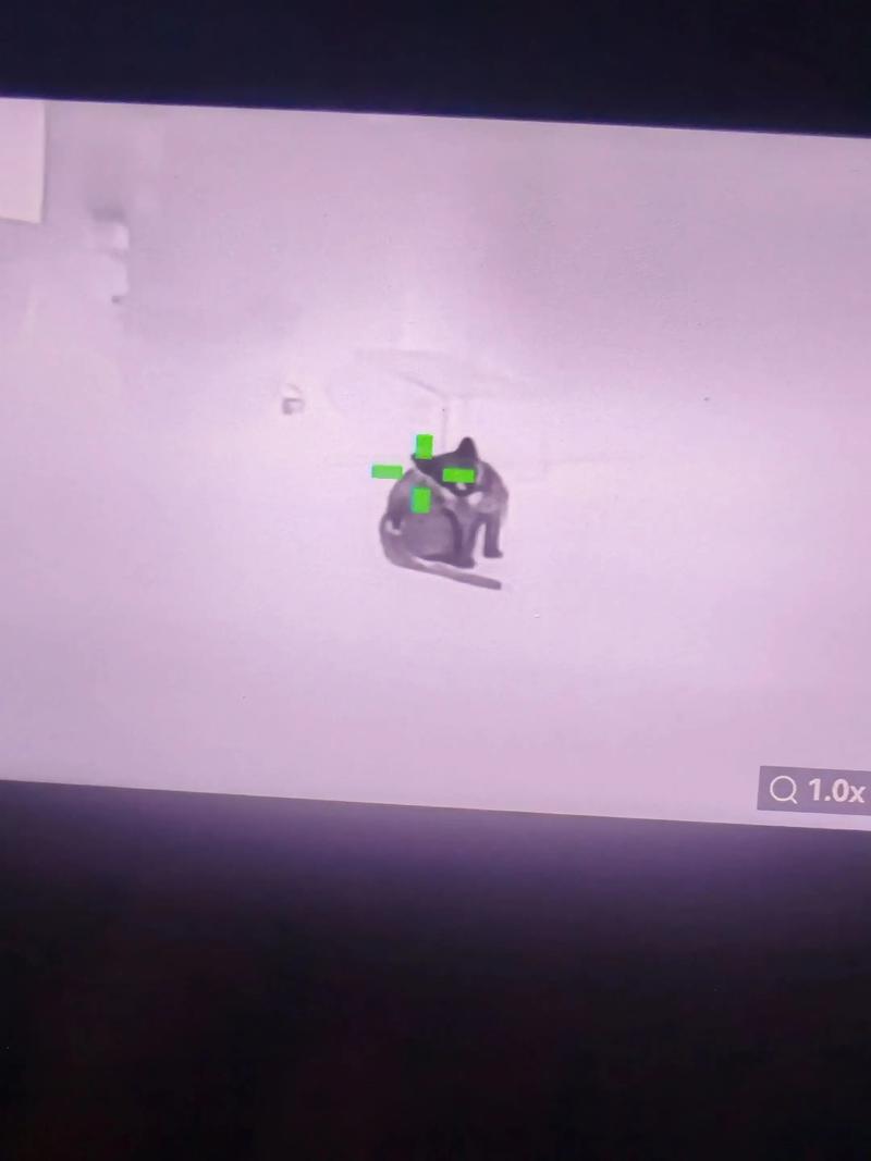 当然是选择原谅他是什么梗